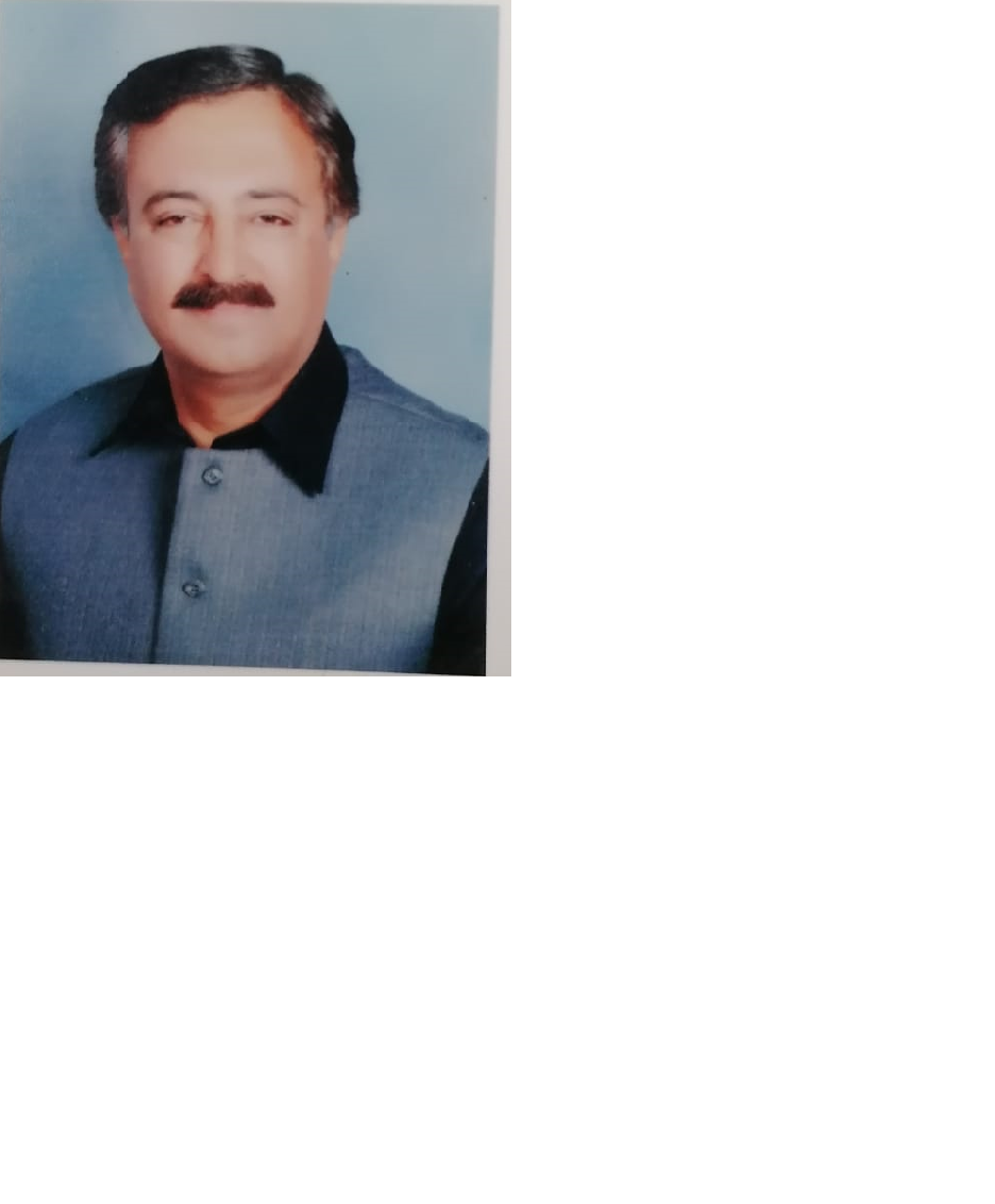 Raja Haroon Mushtaq Sarwar